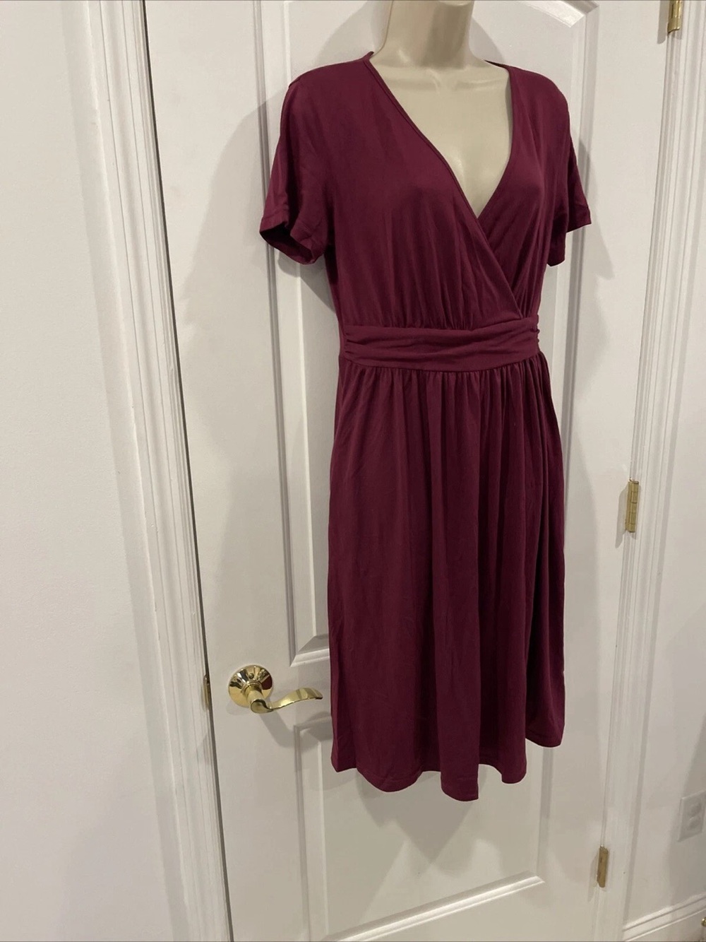 Surplice Waistband Mini Dress in Burgundy